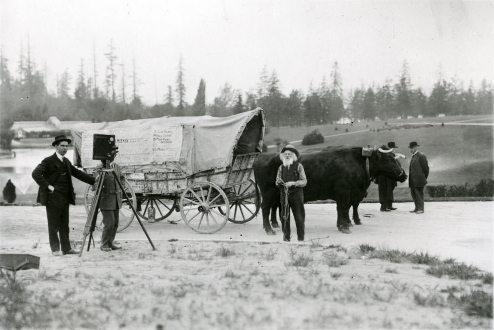 Ezra Meeker, wagon and oxen, at Pt. Defiance Park, Tacoma, 1913