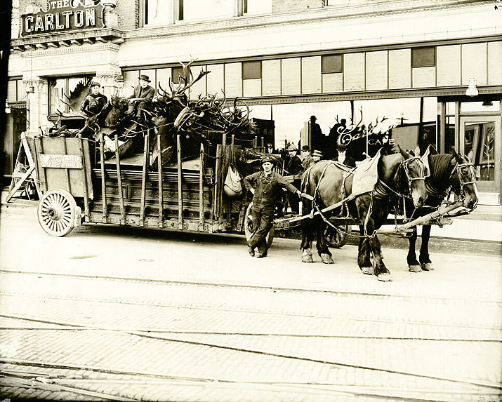 Wagonload of Animal Trophy Heads and Antlers, Tacoma, 1913
