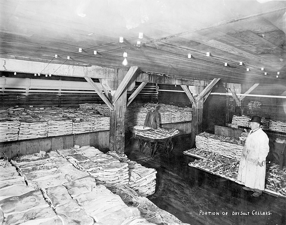 Portion of dry salt cellars [Carsten Packing Co., Tacoma, 1909