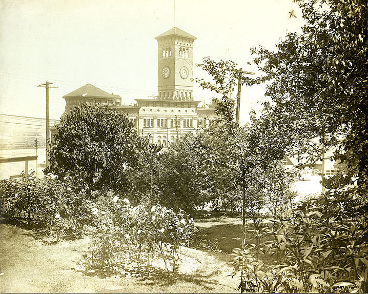View of City Hall and Elk's Temple from Samuel Wilkeson, Jr., residence, 1905