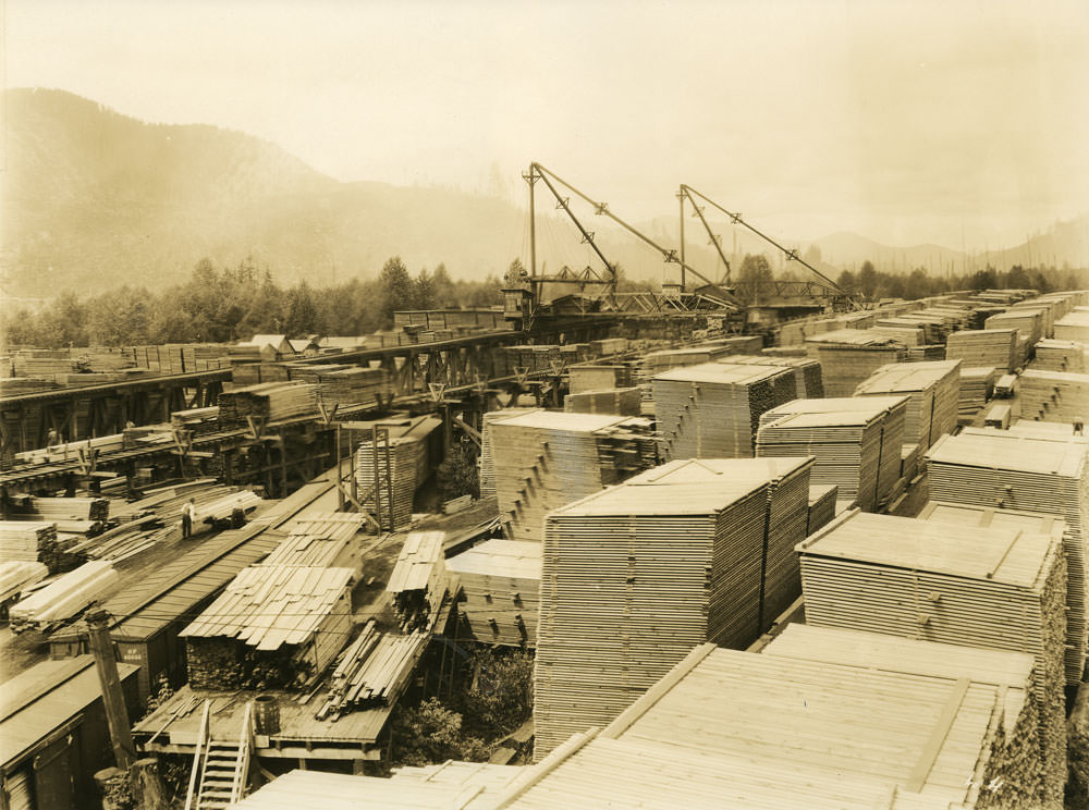 Pacific National Lumber Co., 1920