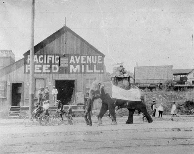 Circus Parade, 1897