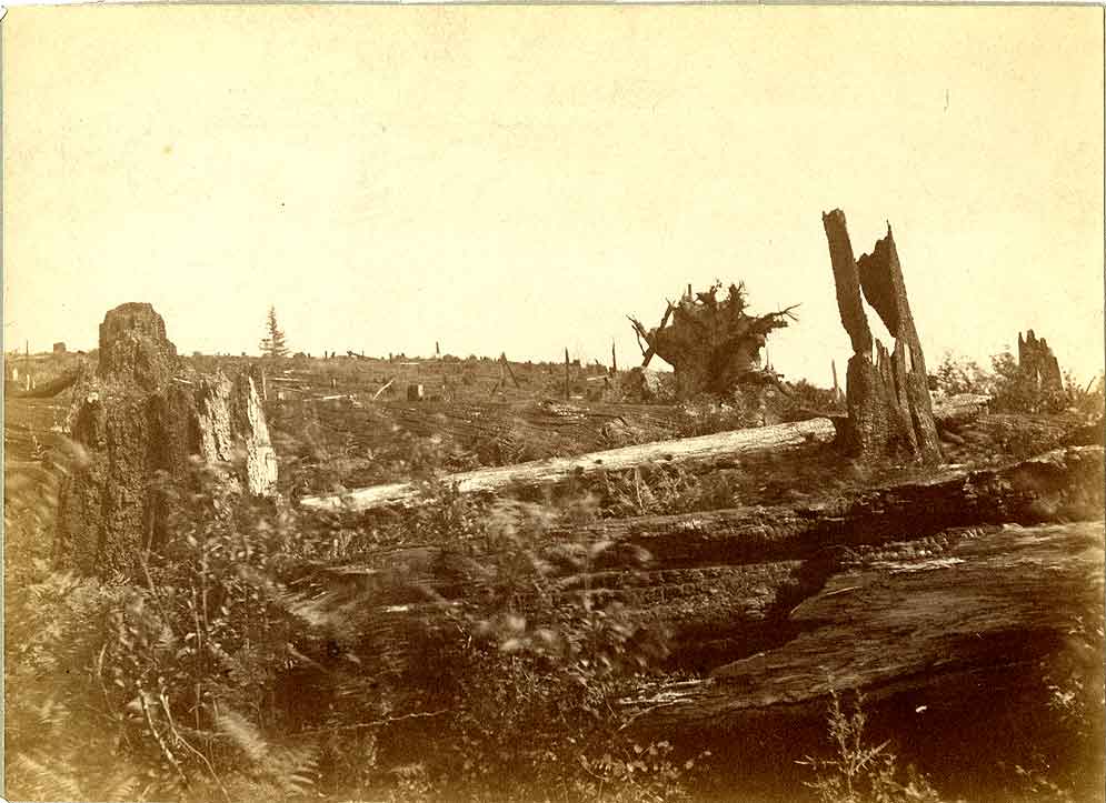 Logged Site of Mueller Garage, 1887