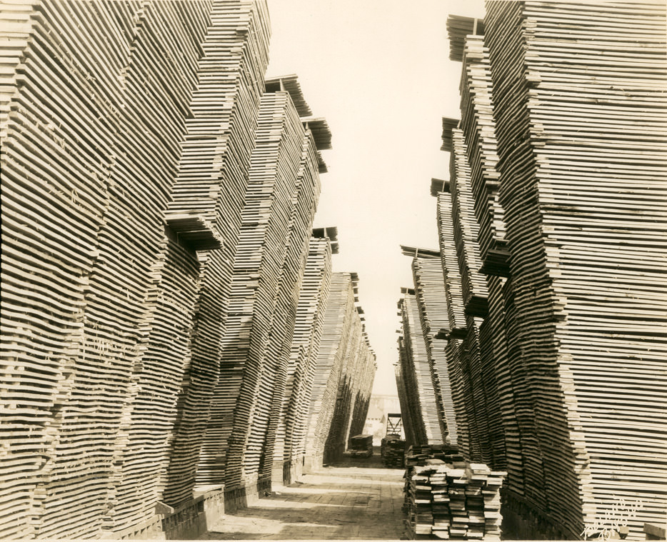 Shaffer Box - Lbr Piles, 1928