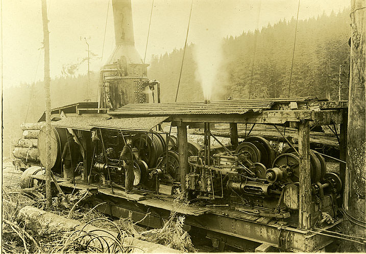 Logging donkey, 1910