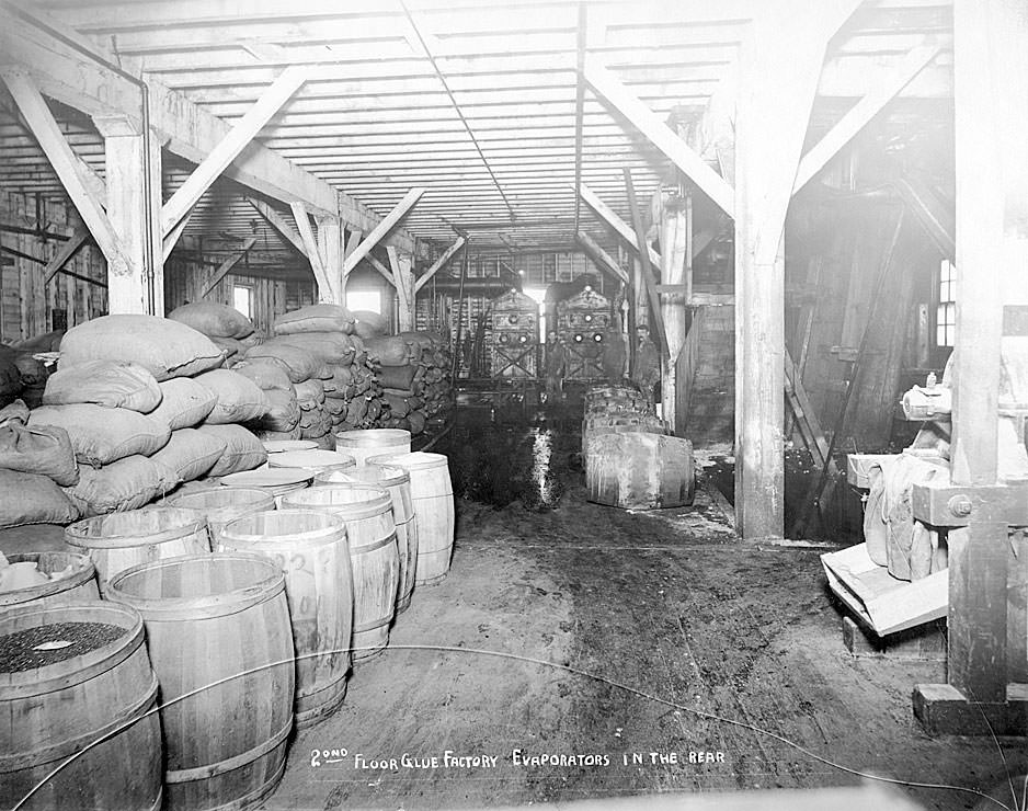 2nd floor glue factory, evaporators in the rear [Carstens Packing Co., Tacoma, 1909