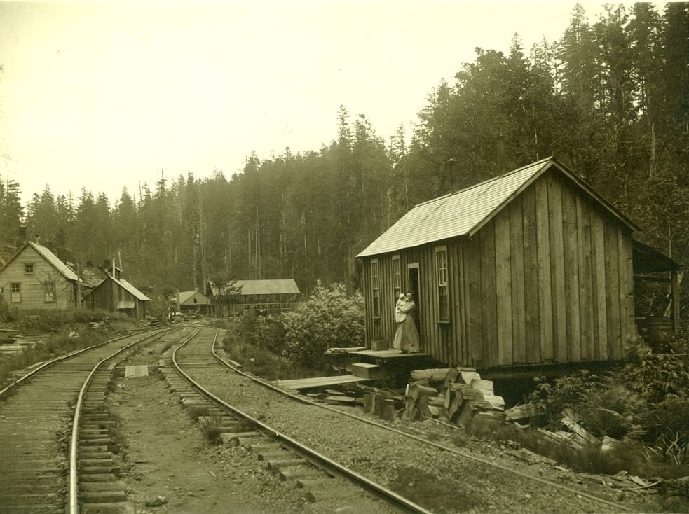 Mason Co. Logging Co. Camp No.2 1903 Bordeaux, 1903