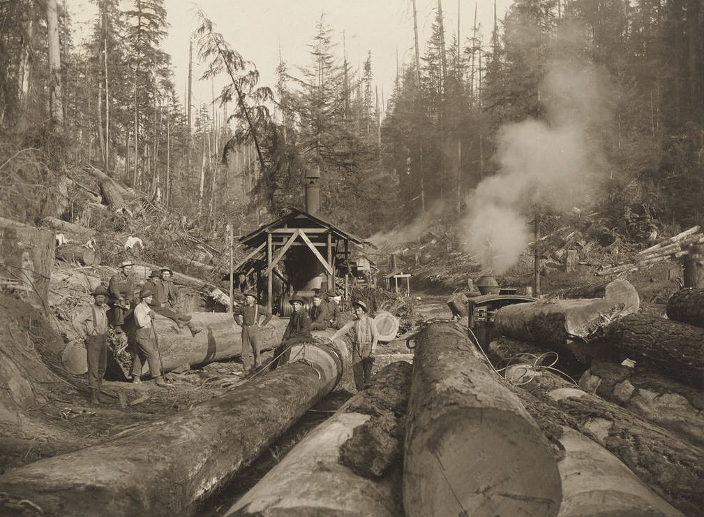 Mason Co. Logging Co. Black Hills, 16 miles west of Olympia, 1903