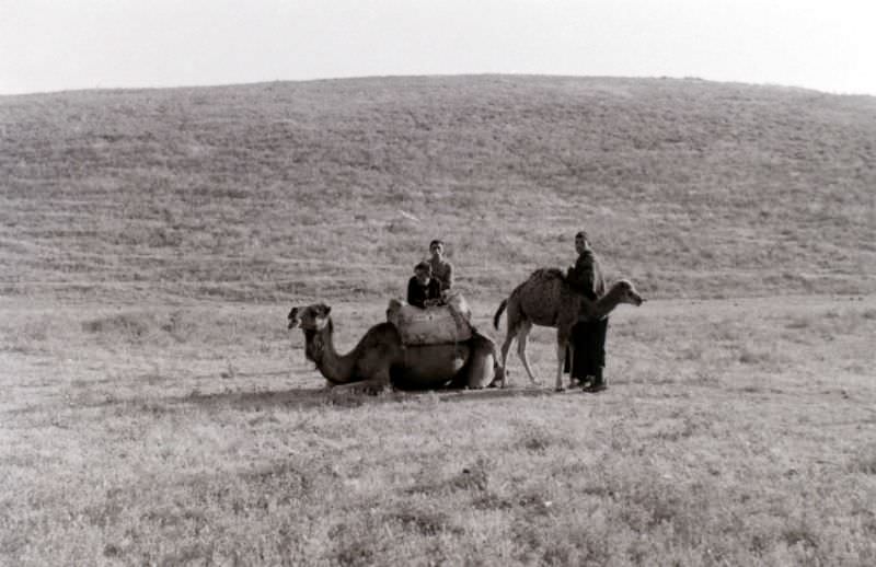 Near Tangier, 1960s