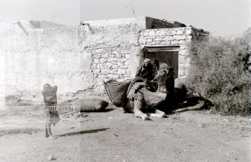 Agadir, 1960s