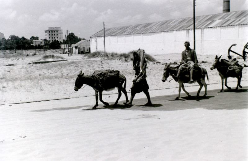 Tangier, 1960s