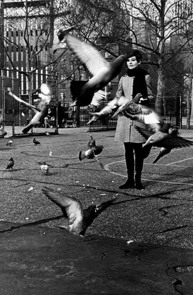 Fabulous Photos of Audrey Hepburn During the filming of 'Wait Until Dark (1967)'