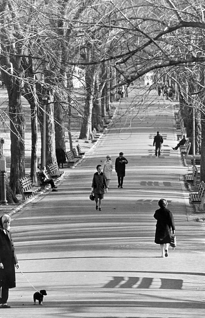 People walk through Boston Common on March 21, 1966.