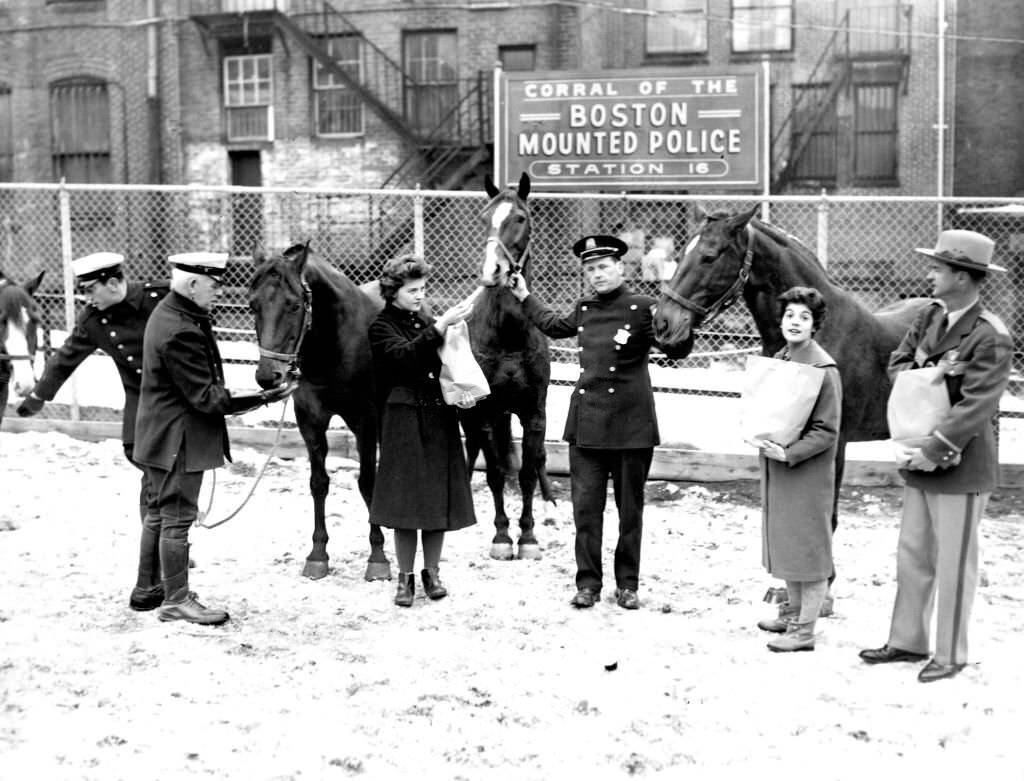 Members of the MSPCA visit Boston Police horses at Station 16 on Dec. 18, 1960.