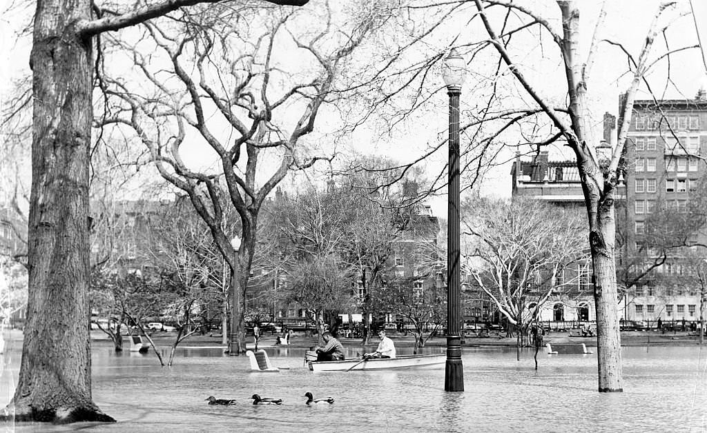 Swan Boat crewmen Gil McIntyre, of Brighton, and Kevin Sullivan, of West Roxbury, row through Boston's Public Garden on April 21, 1960,