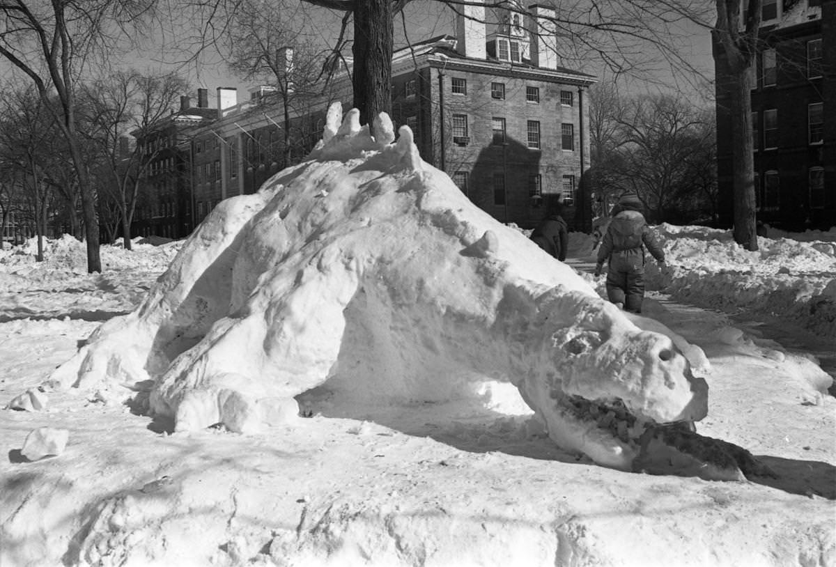 A dinosaur sculpted from snow was built in Harvard Yard in Cambridge.