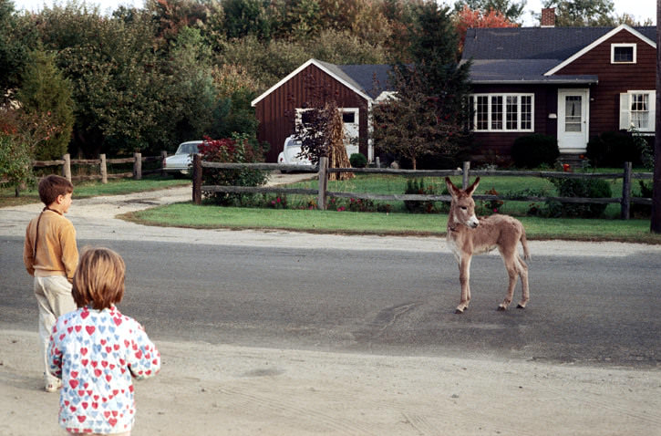 Beautiful Photos of Boston Children Playing on the Streets in the 1970s