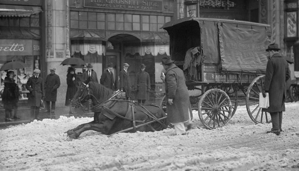 Horse pulling wagon slips in snow, 1910s