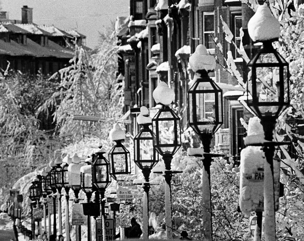 The old-fashioned street lamps along Commonwealth Avenue in Boston are covered in snow, 1977.