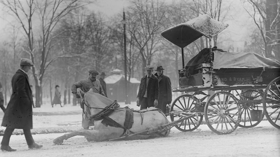 Horse slips on Tremont Street, 1923