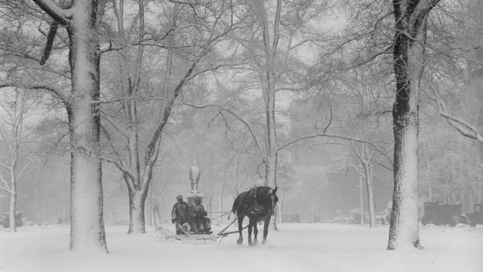 Hamilton statue, Commonwealth Ave. Mall covered with snow, 1928