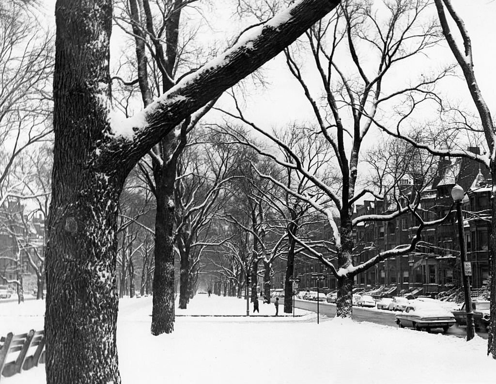 Snow covers the street and trees on Commonwealth Avenue in Boston on Dec. 6, 1964, following a weekend storm that dumped five inches of snow on the city.
