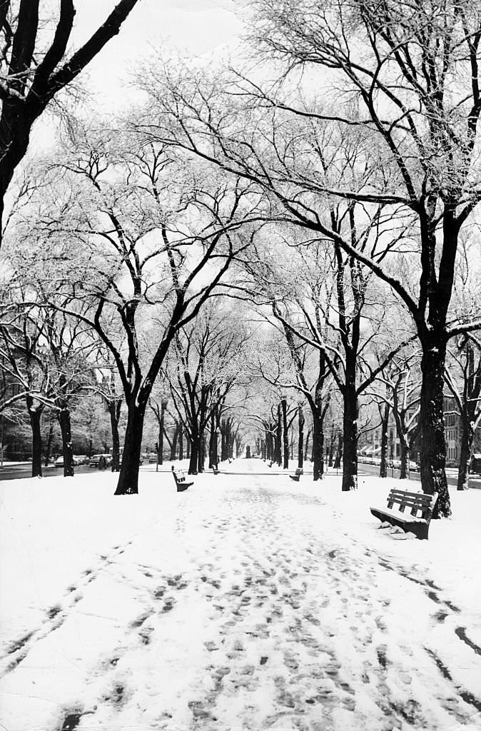 Snow covers the Commonwealth Avenue Mall In Boston on Feb. 8, 1964.