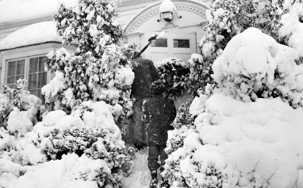 Boys apply for shoveling job at Needham, 1961.