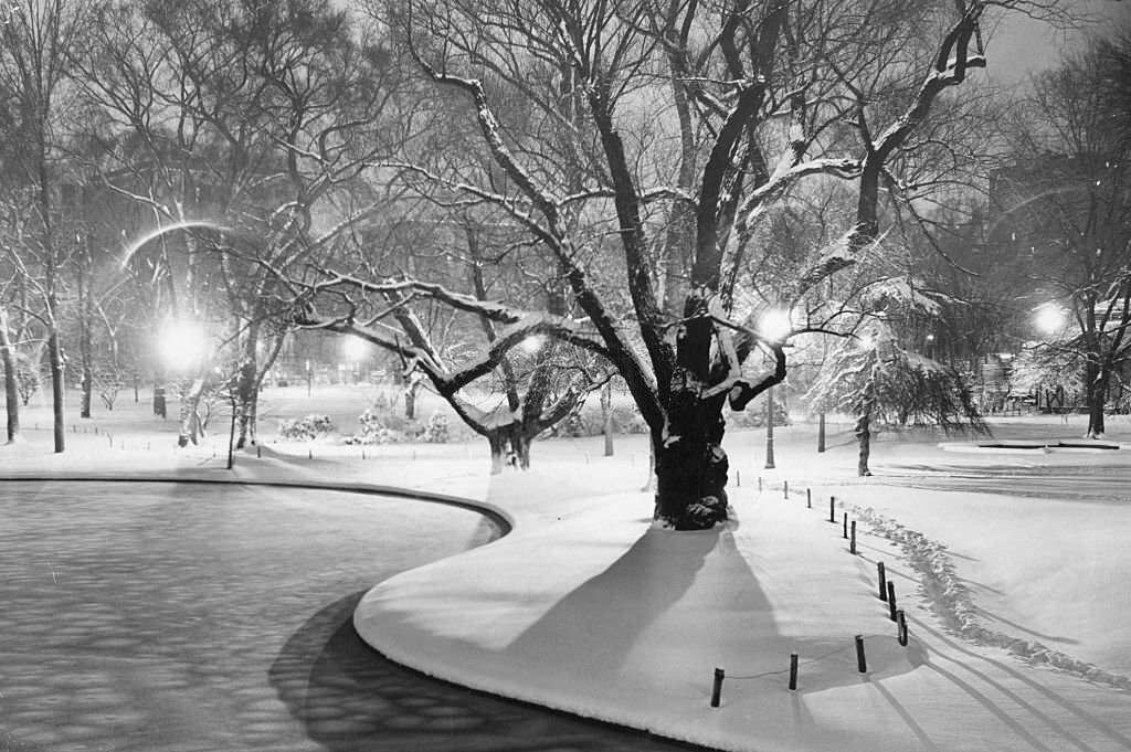The Public Garden in Boston is covered with untouched snowed following a storm, 1951.