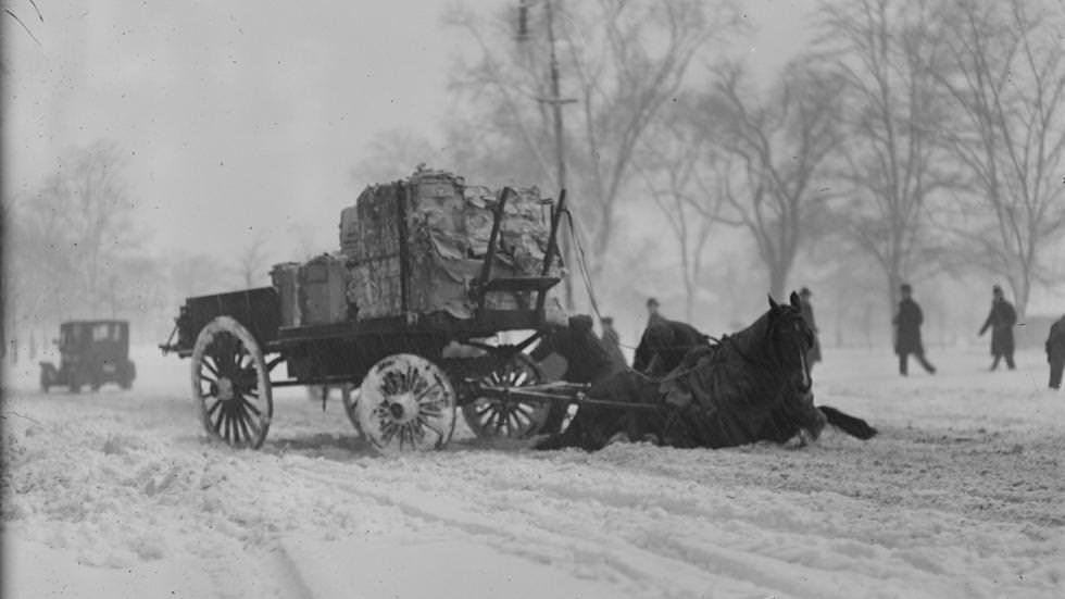 Horse pulling wagon slips in snow next to Common, 1920
