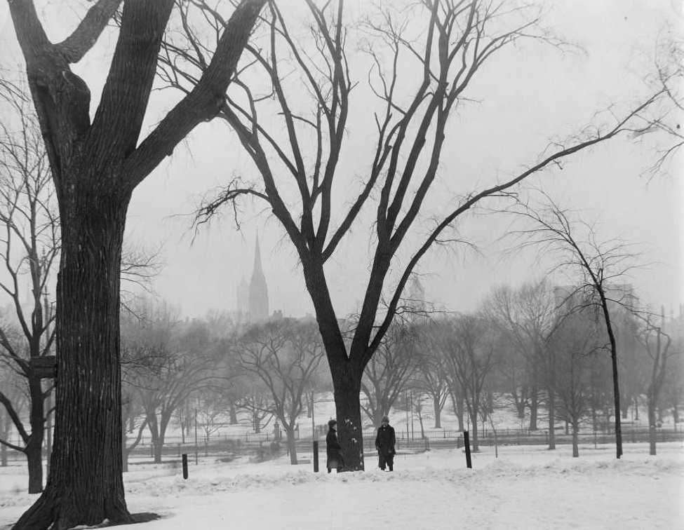 Winter snow scene in Boston Common, children with sled in front of large tree, Boston, Massachusetts, 1906.