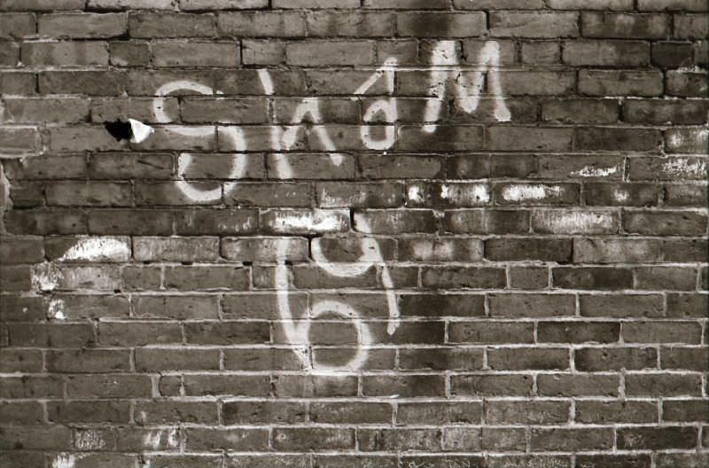 Sham 69, Boston, 1979