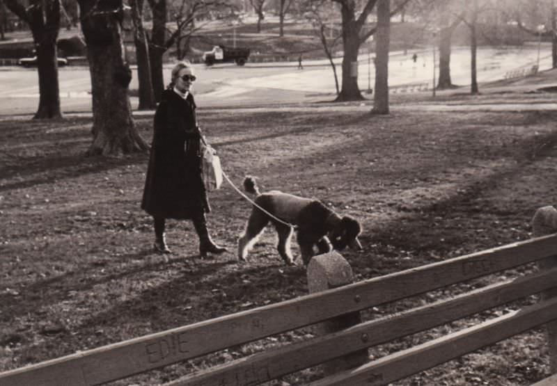 Fur coat lady with poodle, Boston, 1975
