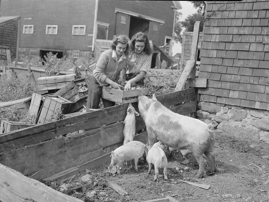 The Rural Life of Boston in the Early 1900s Through the Lens of Leslie Jones