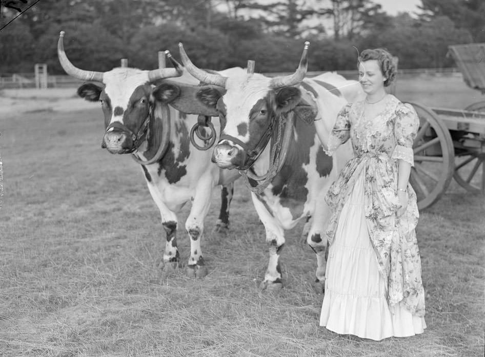 The Rural Life of Boston in the Early 1900s Through the Lens of Leslie Jones