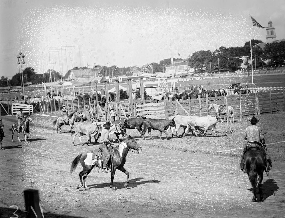 The Rural Life of Boston in the Early 1900s Through the Lens of Leslie Jones