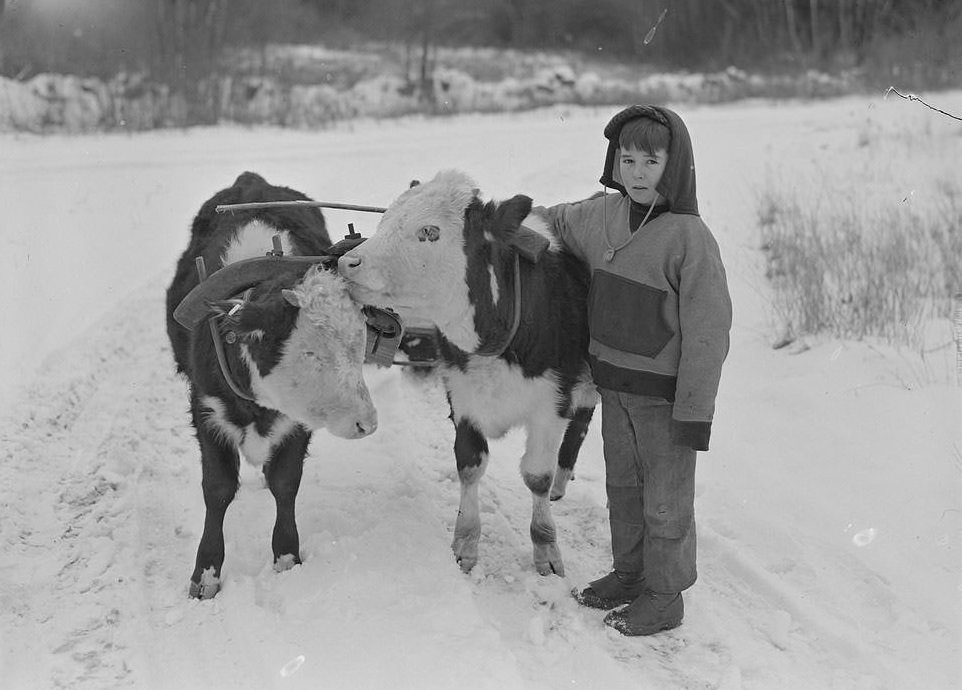 The Rural Life of Boston in the Early 1900s Through the Lens of Leslie Jones