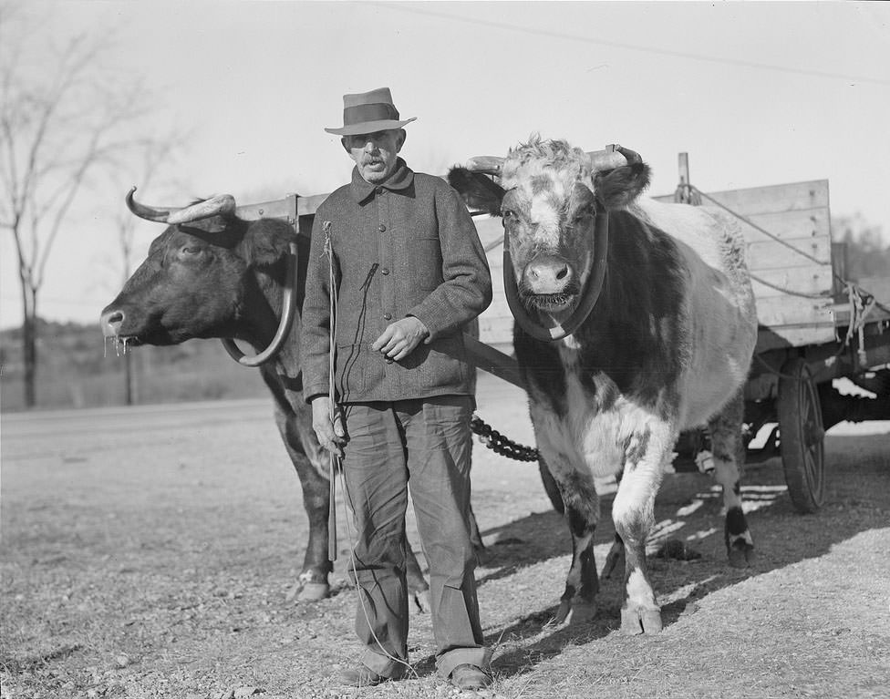 The Rural Life of Boston in the Early 1900s Through the Lens of Leslie Jones