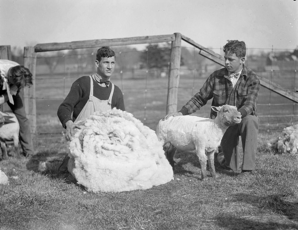 The Rural Life of Boston in the Early 1900s Through the Lens of Leslie Jones