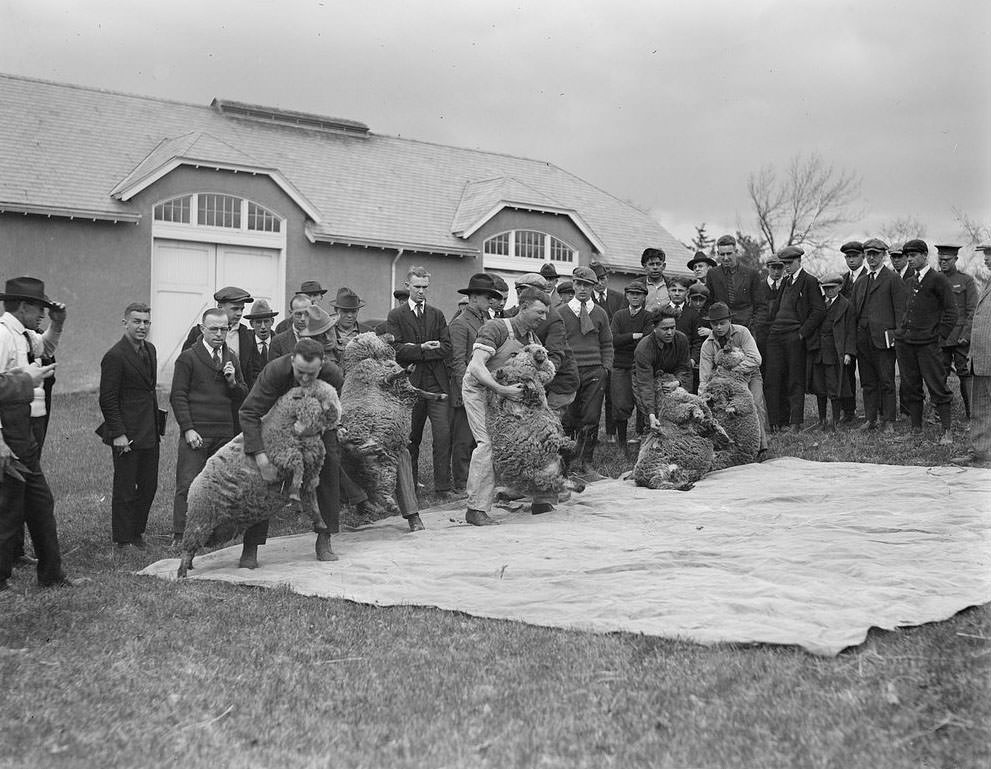 The Rural Life of Boston in the Early 1900s Through the Lens of Leslie Jones