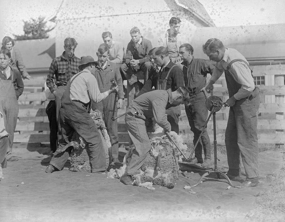 The Rural Life of Boston in the Early 1900s Through the Lens of Leslie Jones