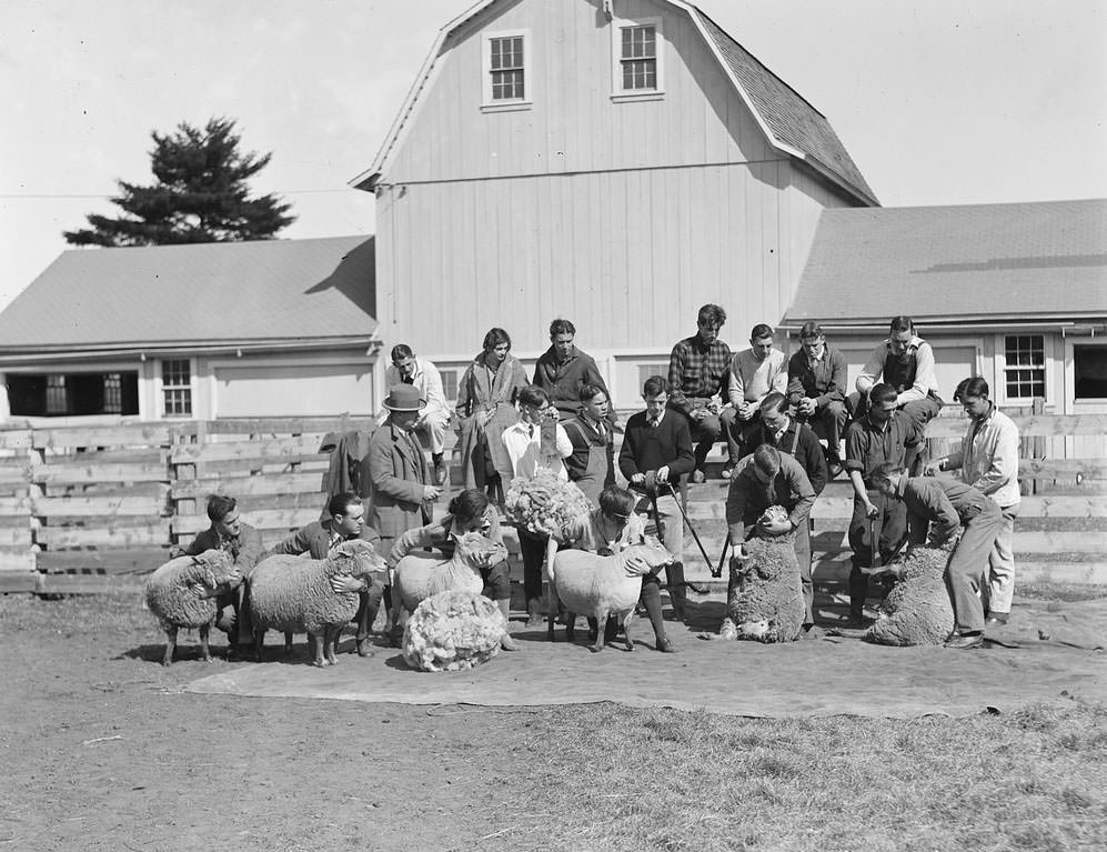 The Rural Life of Boston in the Early 1900s Through the Lens of Leslie Jones