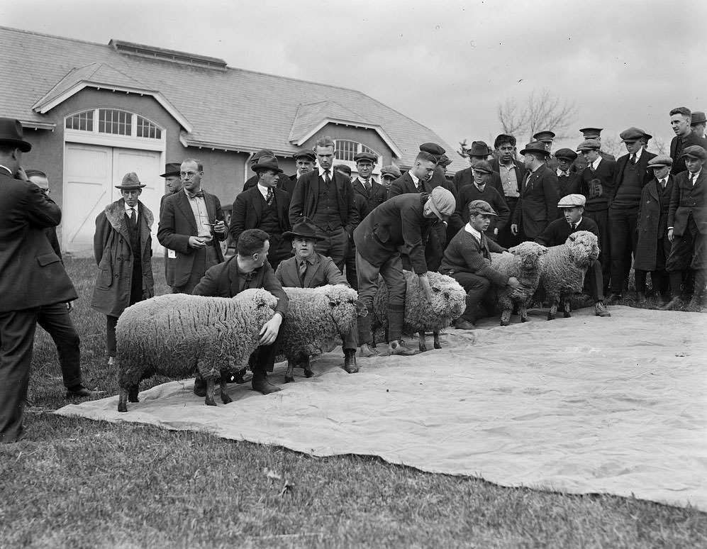 The Rural Life of Boston in the Early 1900s Through the Lens of Leslie Jones