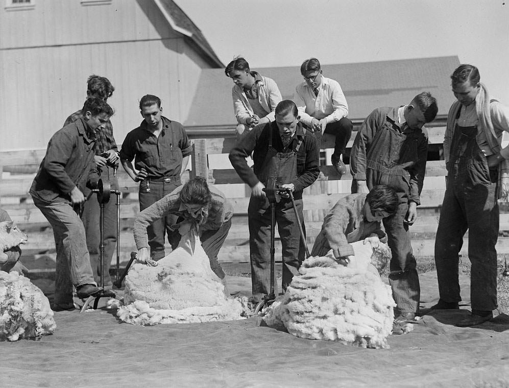 The Rural Life of Boston in the Early 1900s Through the Lens of Leslie Jones