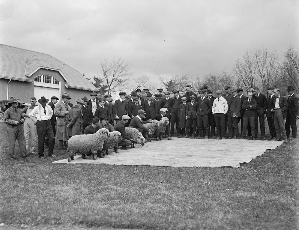 The Rural Life of Boston in the Early 1900s Through the Lens of Leslie Jones