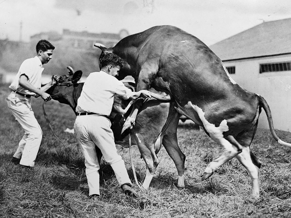 The Rural Life of Boston in the Early 1900s Through the Lens of Leslie Jones