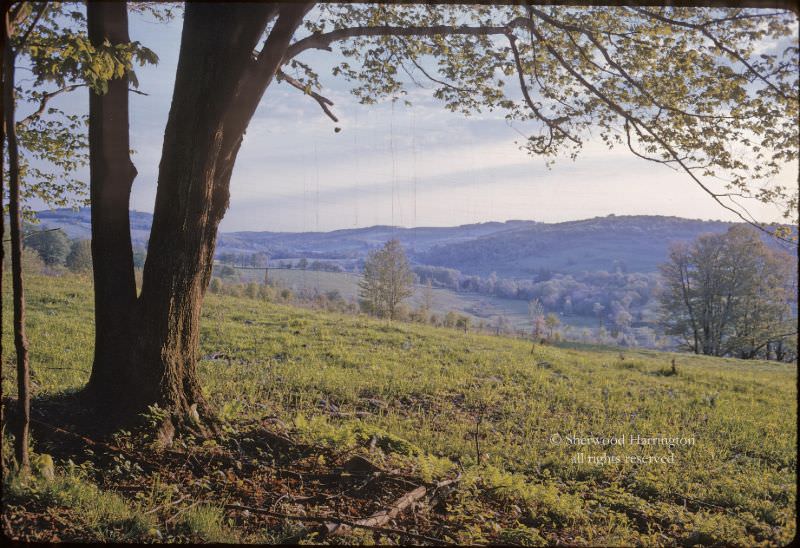 The Great Brook Valley near South New Berlin, New York, in June of 1961