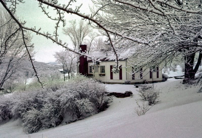 The house I grew up in, 1961