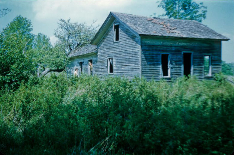 An abandoned house in the Chenango County high country, June 1962