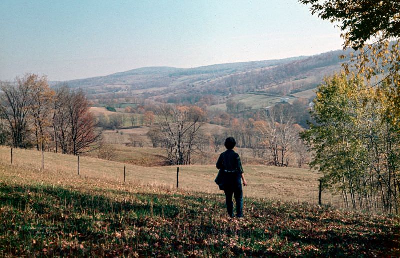 Thompson Creek Valley, October 1964